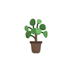 써치팟(Search Pot) : 토분 공방 검색 icon