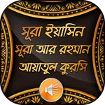 সূরা ইয়াসিন ও আয়াতুল কুরসি icon