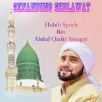Sholawat Habib Syech Offline icon