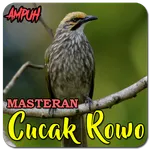 Suara Burung Cucak Rowo Gacor icon