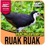 Suara Pemikat Ruak Ruak Ampuh icon