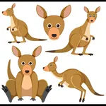 Kanguru matematik icon