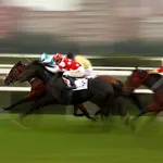 Singapore Horse Racing Live icon