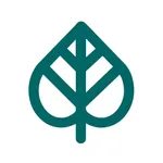 Kava Culture Kava Bar icon