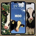 Cute Cow Wallpaper 4K icon