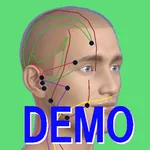 経絡ツボ検索 demo版：経穴の情報アプリ icon