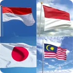 Bendera Negara Dunia icon