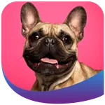 Best Pet Guides icon