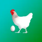 Chicken Breed icon