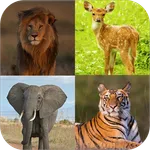 Learn Animals Name and Sound icon