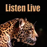 Leopards Radio icon