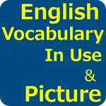 English Vocabulary In Use icon