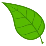 Ikawa app icon