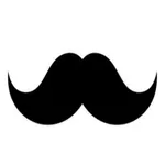 Banas Book icon