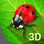 Bugs Life 3D Free - 3D Live Wa icon