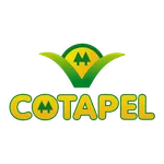 Cotapel icon