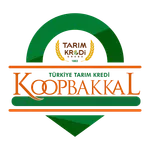 Koopbakkal icon