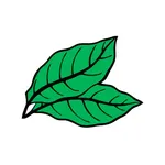Kopi Sejuk icon