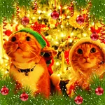 Christmas cards & wallpapers icon