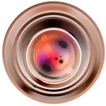 Nega Camera icon
