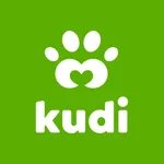 Kudi icon