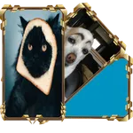 Find The Cat icon