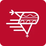 Pool Dorado icon