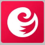 Kurdino icon