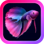 Bettarium - Betta Fish Tank icon
