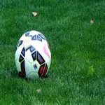 Bet Sport - Betting Tips icon
