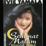 Song Evi Tamala Offline icon