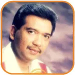 Imam S Arifin Lagu Kenangan icon