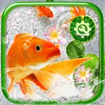 Koi Fish Launcher Theme icon