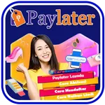 Lazada Paylater Guide Tips icon