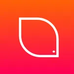 Patterns icon