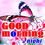 Good Morning and Good Night icon