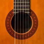 Learn Guitar - Simple Guitar icon