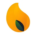 Mango VPN icon