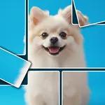 Jigsnap Collections icon