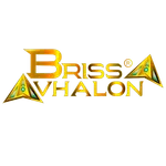 Brissa Avhalon Radio icon