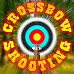 Crossbow shooting simulator icon