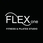 FLEXone icon