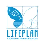 LifePlan icon