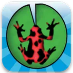 LilyPad Jump icon