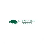 CITYWIDE icon