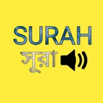 small surah audio offline icon