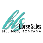 BLS Horse Sales icon