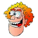 Mad Picker Antiques icon