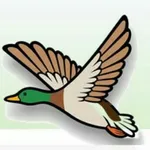 Domicilios el pato icon