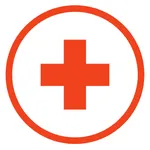 Logic Connect icon